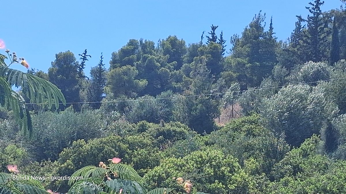 Δήμος Στυλίδας – απαγόρευση κυκλοφορίας 29/6/2026 έως 1/7/2026